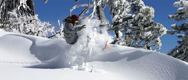 洛杉矶滑雪冲浪两不误高山滑雪场