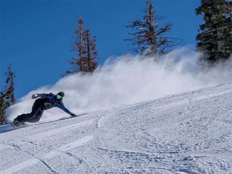 洛杉矶滑雪冲浪两不误