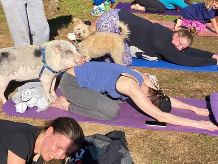 Piggie Smalls and Sunny the Pup | Photo: Laughing Frog Yoga