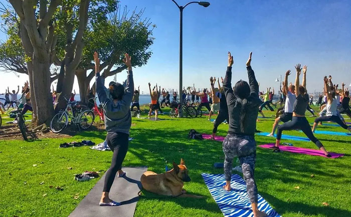 Yoga on the Bluff | Photo: Yogalution