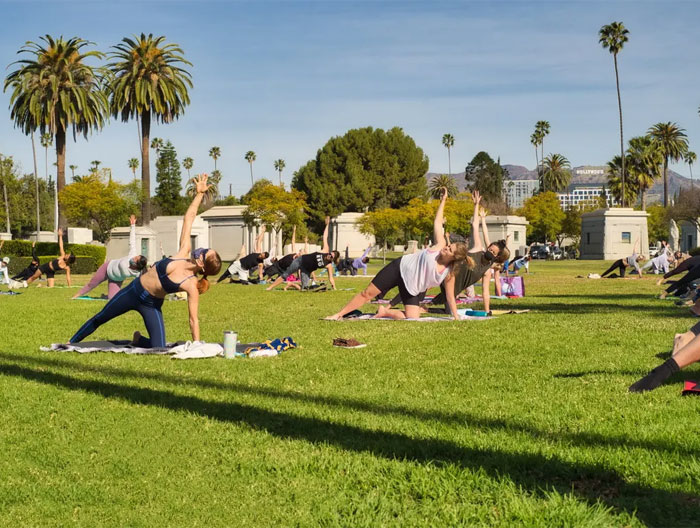 Yoga on the Fairbanks Lawn | Photo: Hollywood Forever