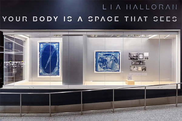 Lia Halloran, "Your Body is a Space That Sees" (detail) at LAX | Photo: LAWA