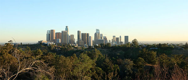 Downtown LA view from Elysian Park | Photo: Yuri Hasegawa