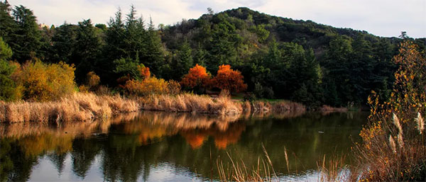 Franklin Lake at Franklin Canyon Park | Photo: Ken Shelton, Discover Los Angeles Flickr Pool