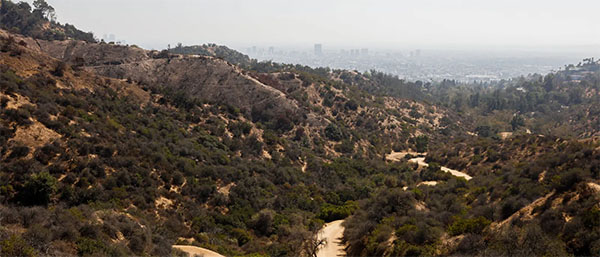 View from Griffith Park trail | Photo: Yuri Hasegawa