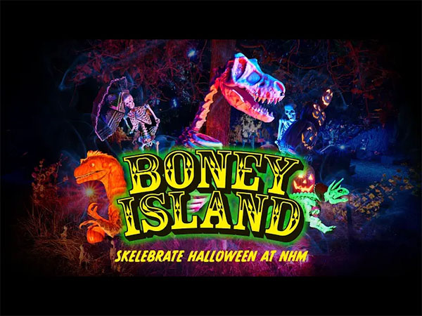 Boney Island - NHM
