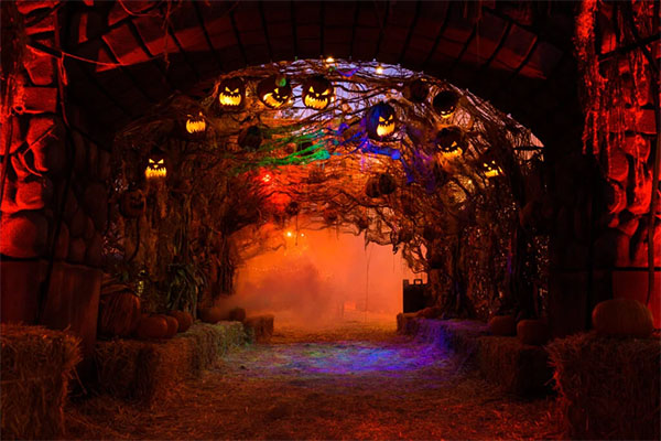 Photo: Los Angeles Haunted Hayride