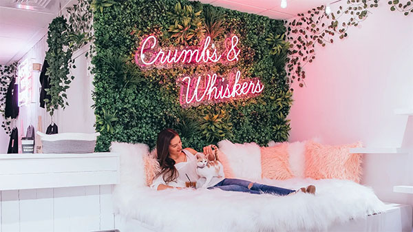 Photo: Crumbs & Whiskers Los Angeles