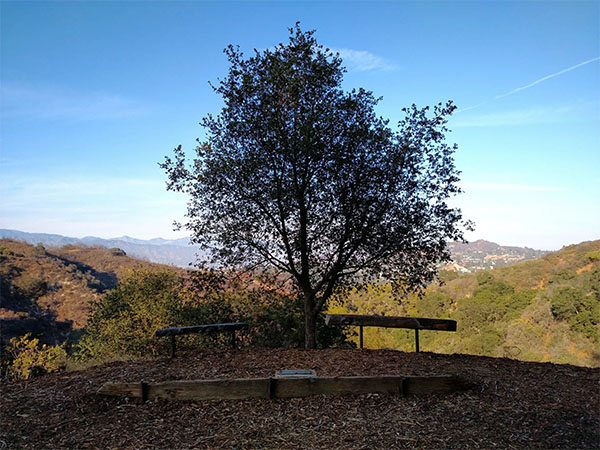 Fryman Canyon | Photo: Joshua Lurie