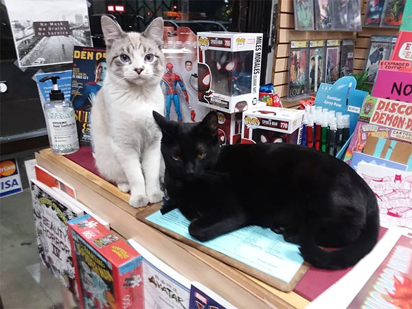 Pugsley and Shuri | Photo: Galaxy of Comics