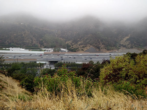Getty View Trail | Photo: Joshua Lurie