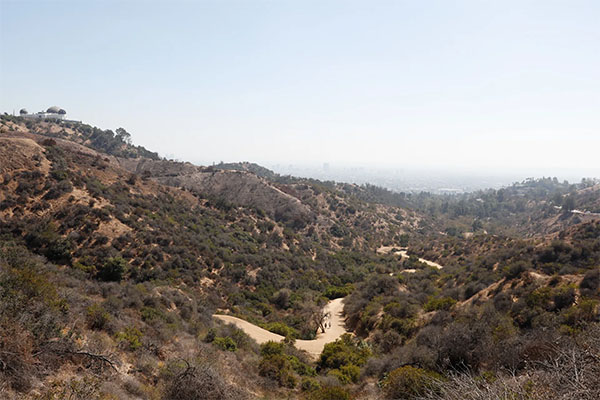View from Griffith Park with the Griffith Observatory to the left | Photo: Yuri Hasegawa