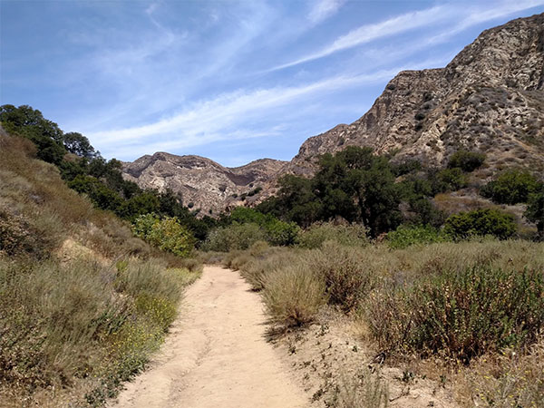 O'Melveny Park | Photo: Joshua Lurie