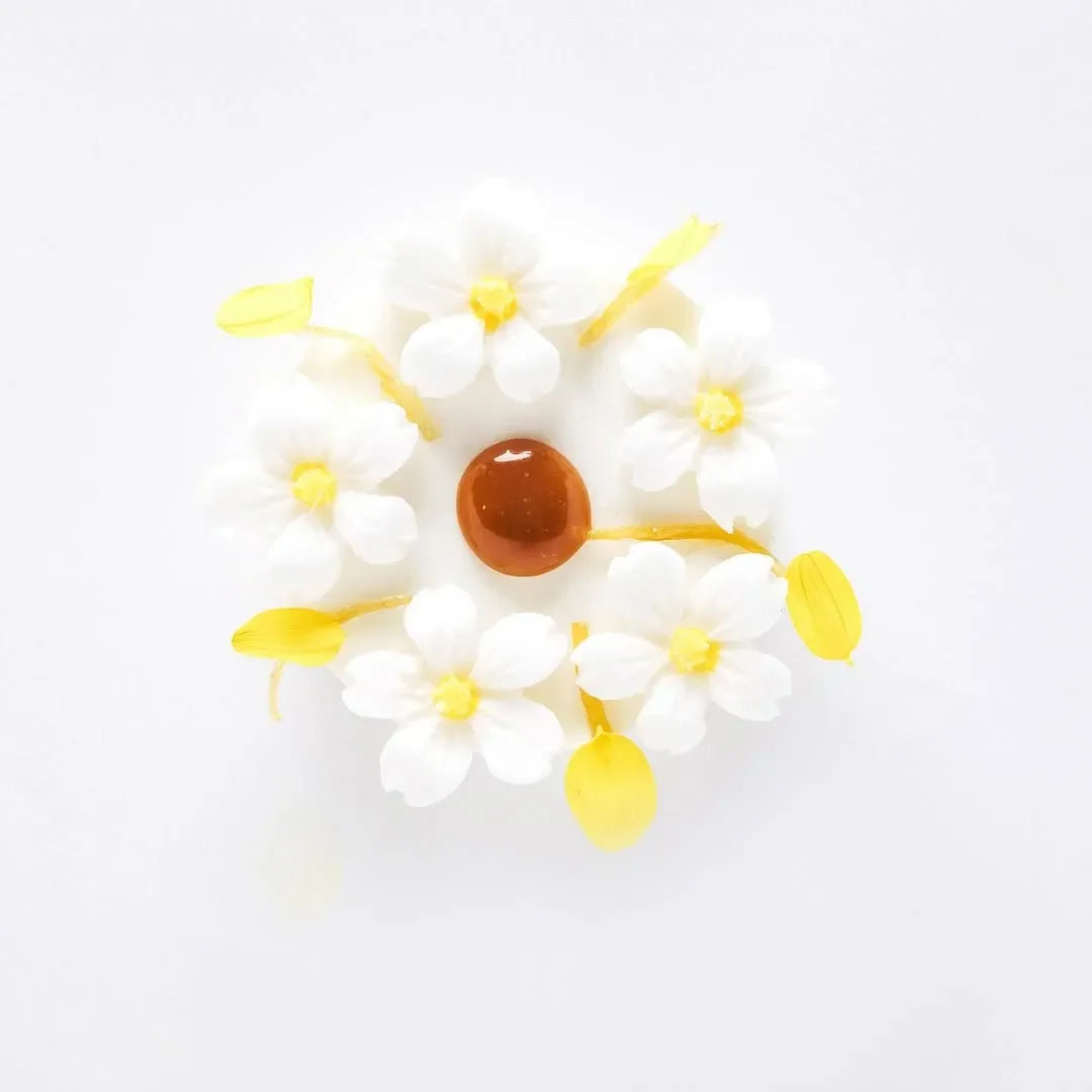 Piña Colada | Photo: Somni