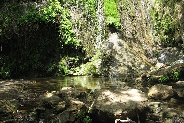 Escondido Canyon Park | Photo: MRCA
