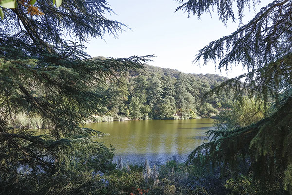 Franklin Canyon | Photo: Yuri Hasegawa