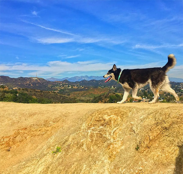 Photo: Runyon Canyon Park / LA Rec & Parks