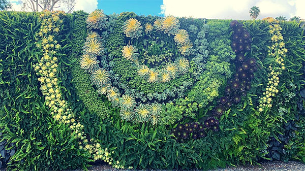 南海岸植物园（South Coast Botanic Garden）