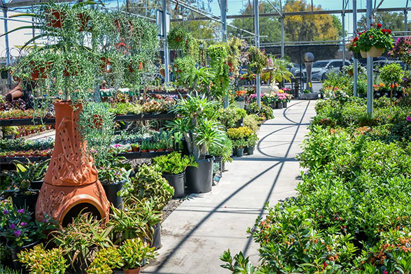 Green Thumb Nursery in Canoga Park | Photo: Green Thumb Nursery