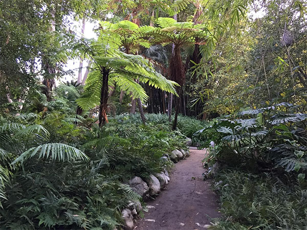 Photo: Mildred E. Mathias Botanical Garden