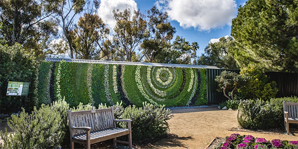 Living Wall at South Coast Botanic Garden | Photo: Seasons Landscaping