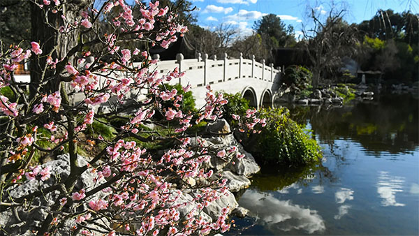 The Huntington Library