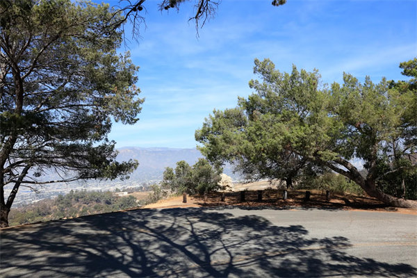 Griffith Park Hilltop View | Photo: Yuri Hasegawa