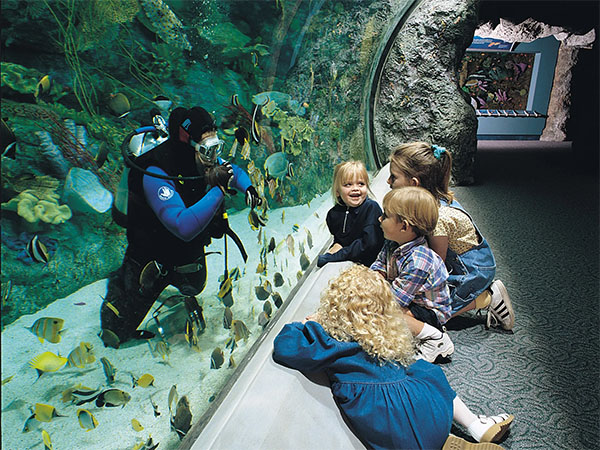 太平洋水族馆（Aquarium of the Pacific）