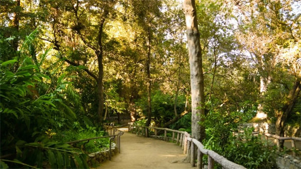 阿米尔花园 & Ferndell Nature Museum