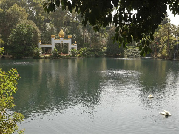 Self-Realization Fellowship