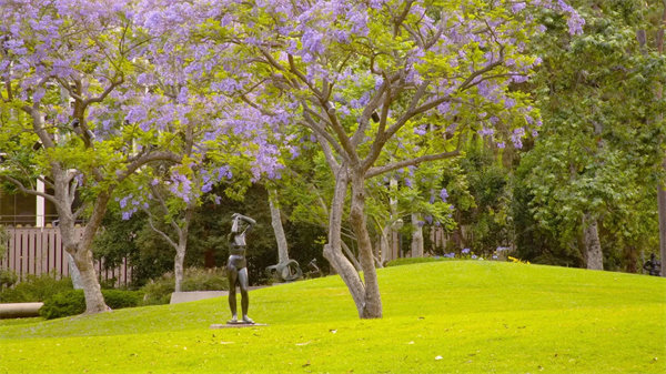 加州大学洛杉矶分校(UCLA)