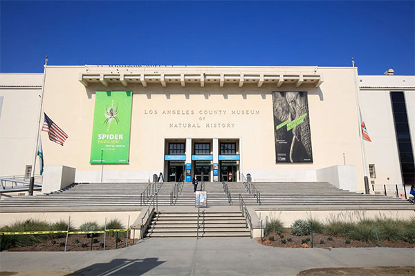 洛杉矶县自然历史博物馆(Natural History Museum of Los Angeles County)